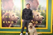 Mark Wahlberg with dog at film screening.