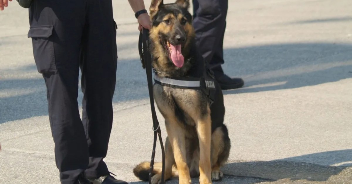 NYPD Trains Dogs to Sniff Out Electronic Devices