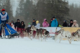 A Polish racer with his sled dogs slides past some of the onlookers.