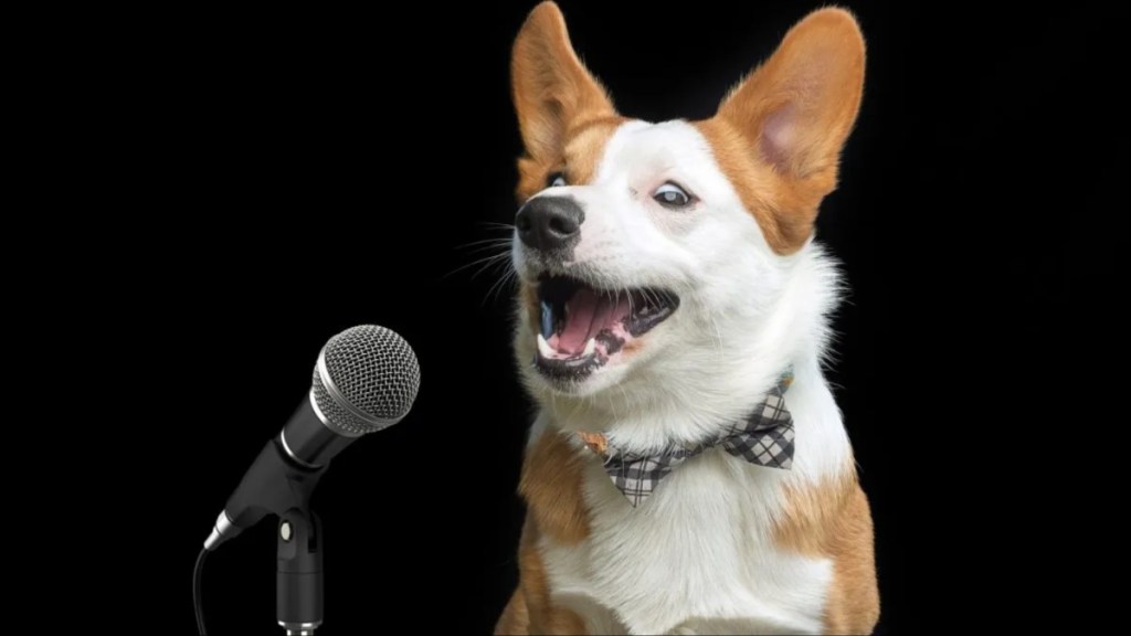 A dog singing on the mic, like the viral dog on Tiktok who sang to Taylor Swift's song, "my tears richochet."
