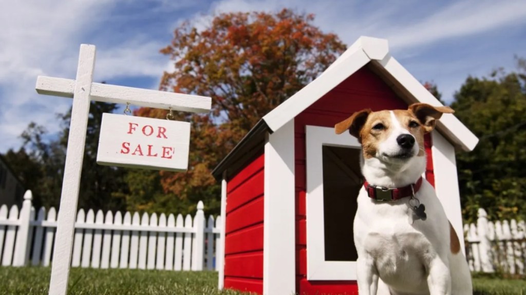 Dog standing next to a dog house and a "FOR SALE" sign, teens robbed a dog seller they met through Facebook Marketplace