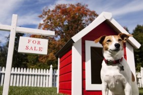 Dog standing next to a dog house and a "FOR SALE" sign, teens robbed a dog seller they met through Facebook Marketplace