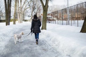 Woman walking her dog on a snowy road, an expert has explained that this can be too cold for dog walking.