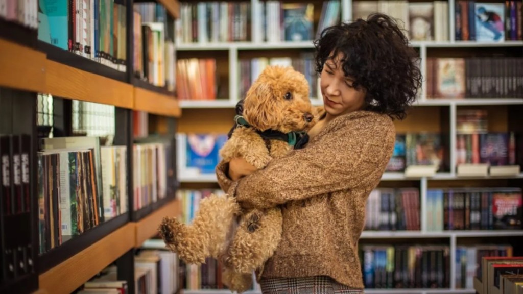 A happy student carrying a brown therapy dog in the library, like the therapy dogs with the Love Dog Adventures