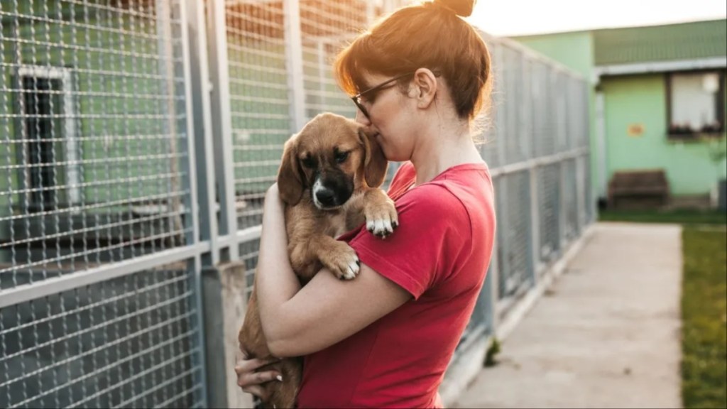 A woman hugging a dog in a shelter, Utah has been declared "no-kill" state by its Governor.