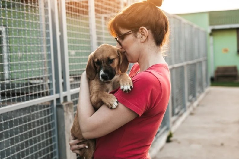 A woman hugging a dog in a shelter, Utah has been declared "no-kill" state by its Governor.
