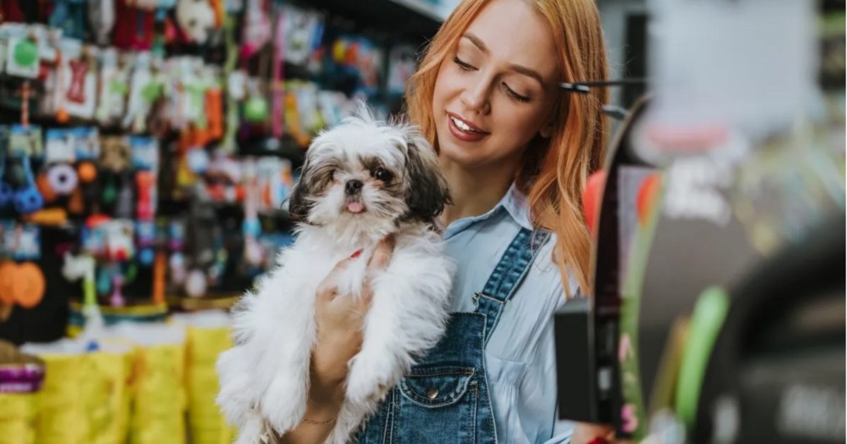 Vermont Bill Looks to Ban Pet Store Sales of Dogs