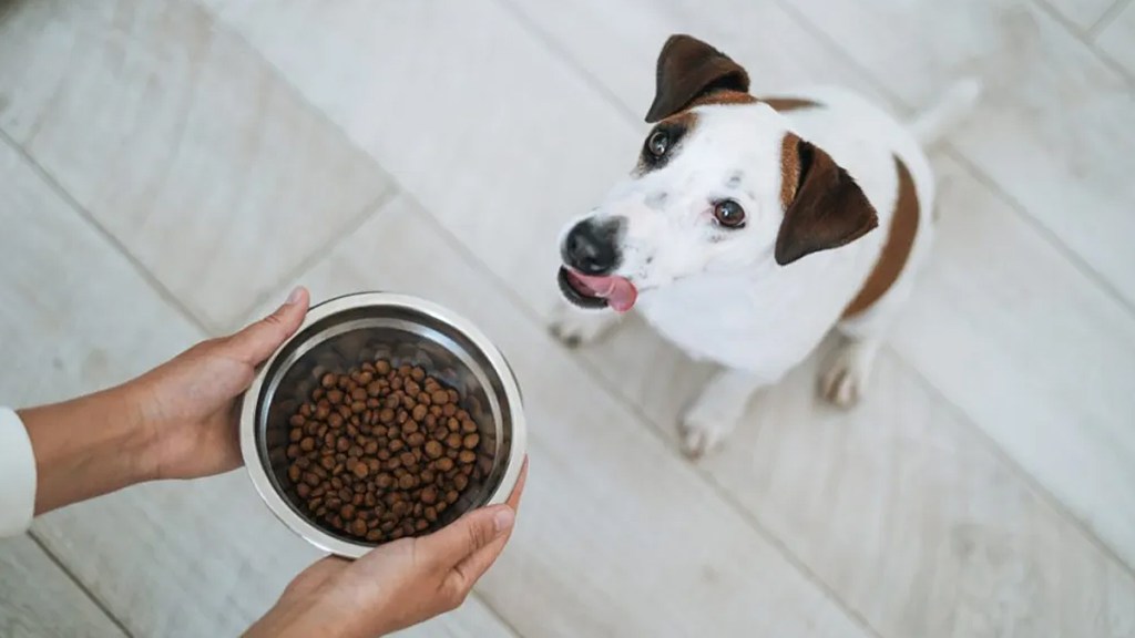 wellness dog food recall