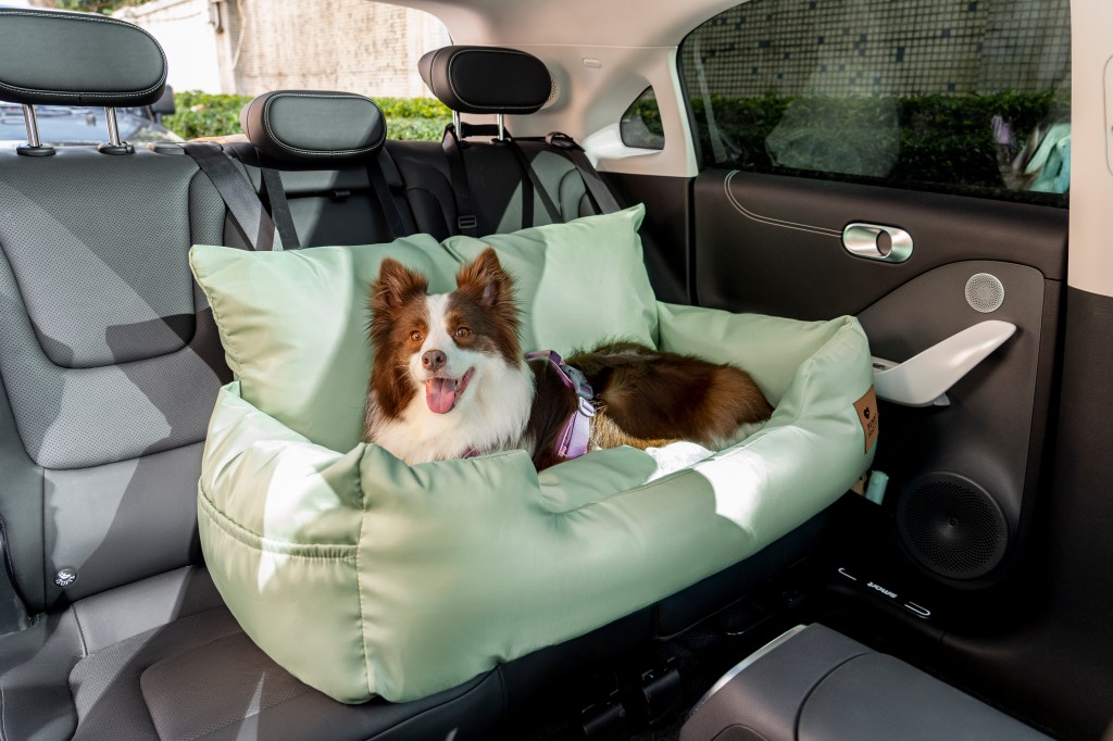Collie dog in a FunnyFuzzy medium large travel bolster dog car seat bed product in a backseat of a vehicle.