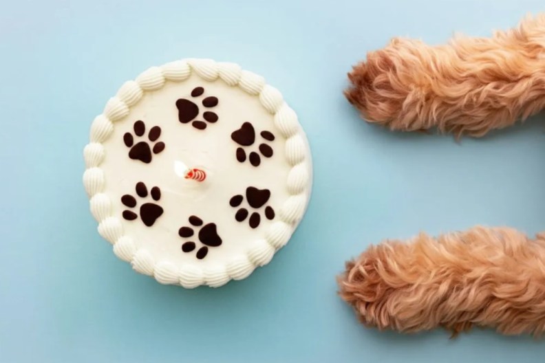 A cake and a dog's paws, a couple received a realistic cake of their pet dog for their joint birthday celebration in Oxford, U.K.