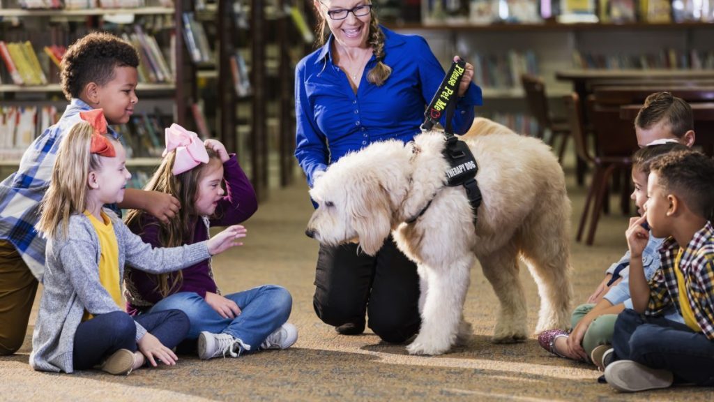 A service dog in school, like how the Tecumseh city council has approved a service dog program for Tecumseh schools.
