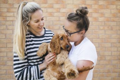 American Cocker Spaniel puppy with two women, they make for great family dogs.