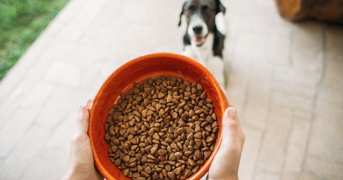 Canidae Has the Dog Food Brand Issued a Recall in 2024?