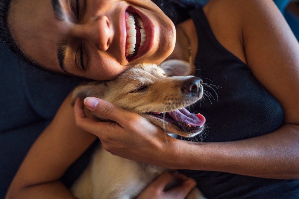 Close up, a young woman and a puppy are having fun cuddling