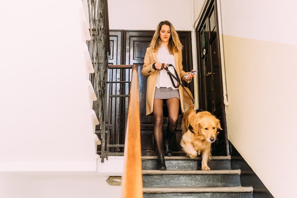 A photograph of a woman with her Golden Retriever walking down apartment steps, thanks to her dog being an ESA dog with an emotional support animal letter.