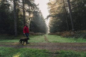 Man walking dog along a forest trail, Dogs in the U.K. are contracting Alabama Rot during walks in muddy, woodland areas.