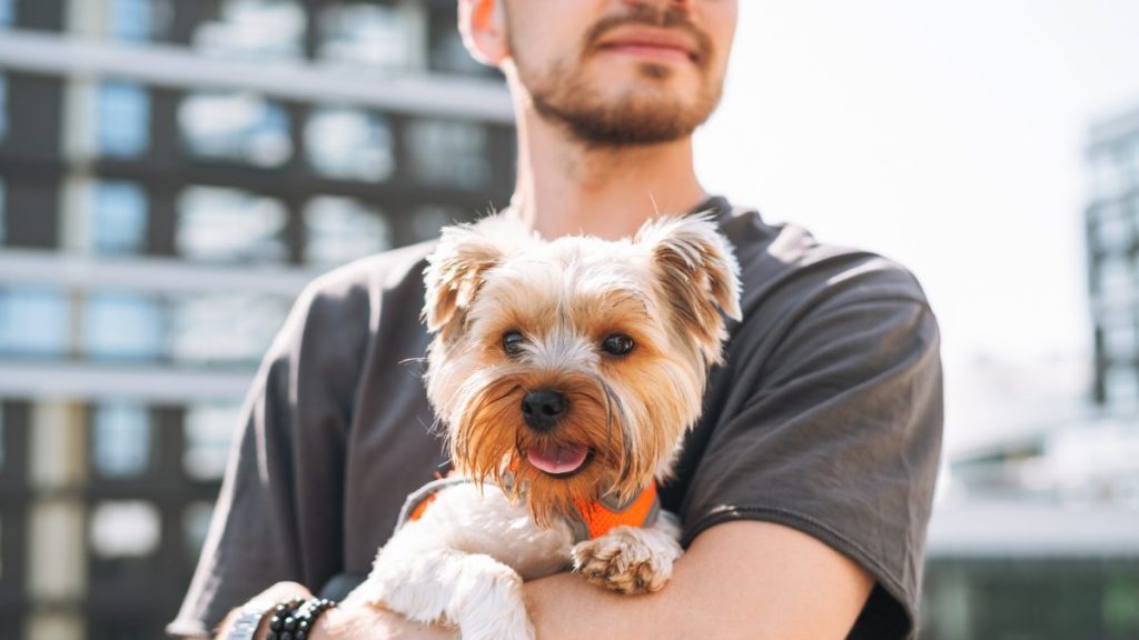 A man holding a Yorkshire Terrier dog,