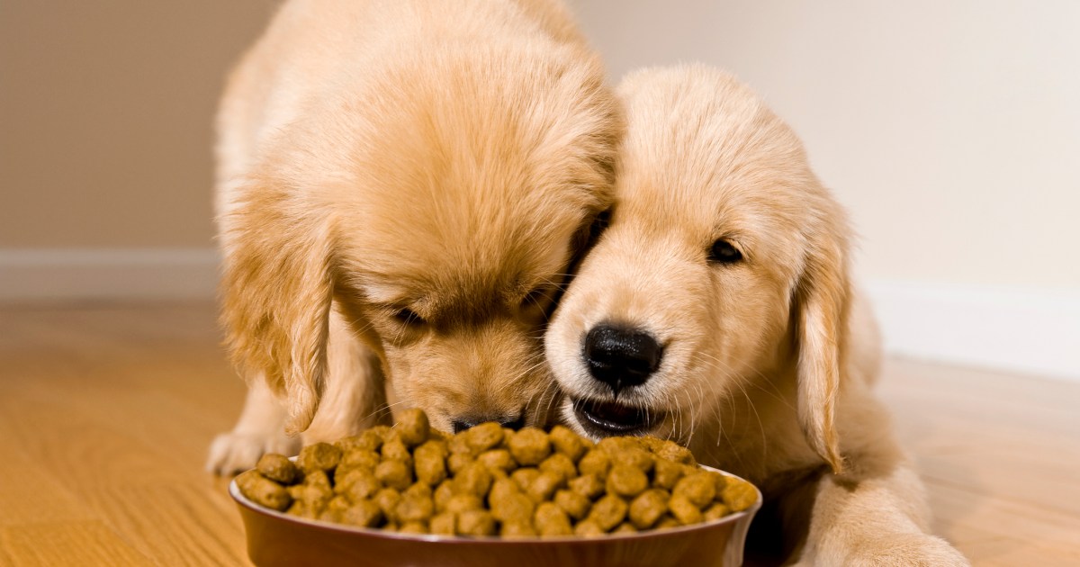 Zignature Has the Dog Food Brand Issued a Recall?