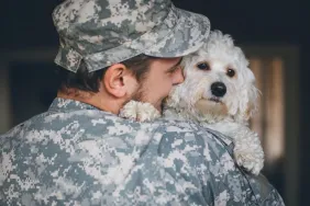 Military soldier carrying a cute white dog, seven rescue puppies were from the Middle East to the U.S.