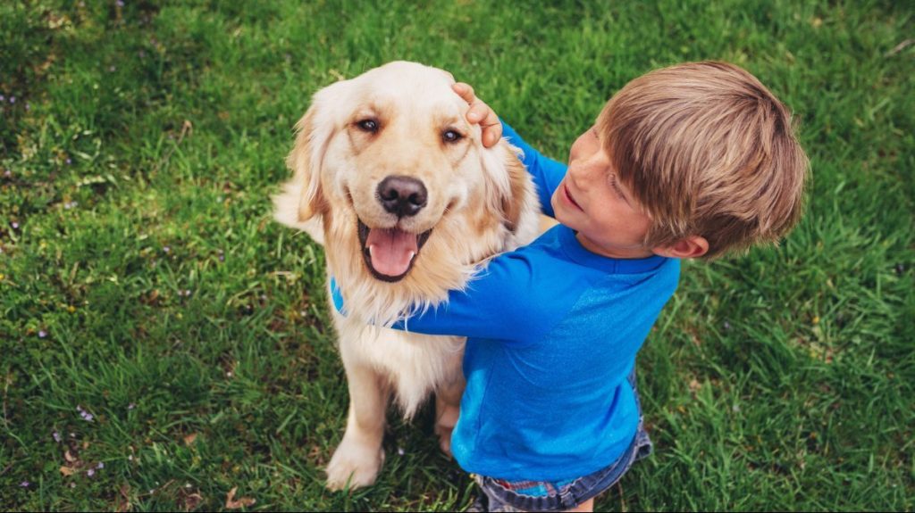 Young boy playing with a Golden Retriever, one of the friendliest dog breeds, outside in the grass