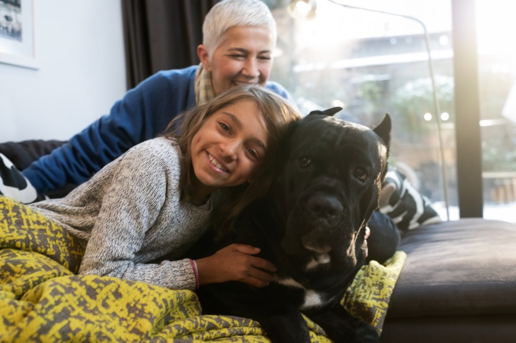Little girl and her grandmother sitting at home and hugging Cane Corso dog.