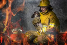 Firefighter saving a dog from a burning house, a rescued puppy had been adopted by an Oregon firefighter