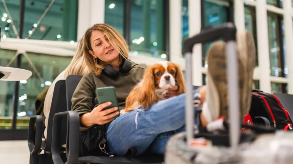 A woman at their airport with her dog, Virgin Australia plans to allow small dogs and cats to fly in cabin.