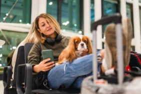 A woman at their airport with her dog, Virgin Australia plans to allow small dogs and cats to fly in cabin.
