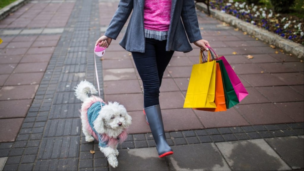 Woman carrying three colorful shopping bags walking her dog, recent findings have revealed the top ten most expensive states to buy a dog in the U.S.