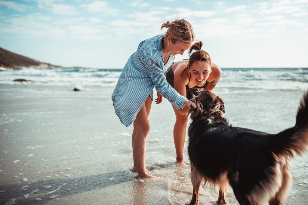 Two young women playing with the dog on the beach