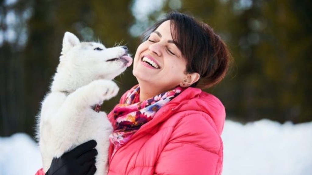 A Husky with a woman, like the missing dog in Ohio who got reunited with his owner.