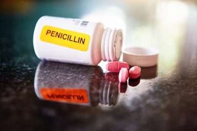 Pill bottle of penicillin for dogs with orange sticker.