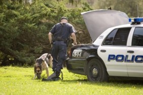 A police dog working with his handler, like the dog who helped find the missing toddler.