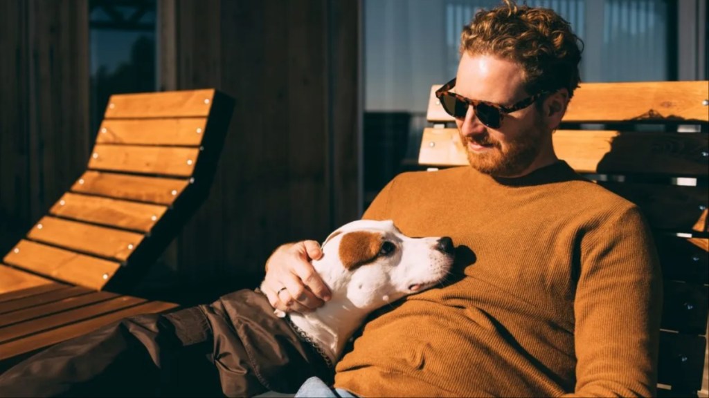 Man in sunglasses pet sitting dog on a wooden bench — cheap travel hack.