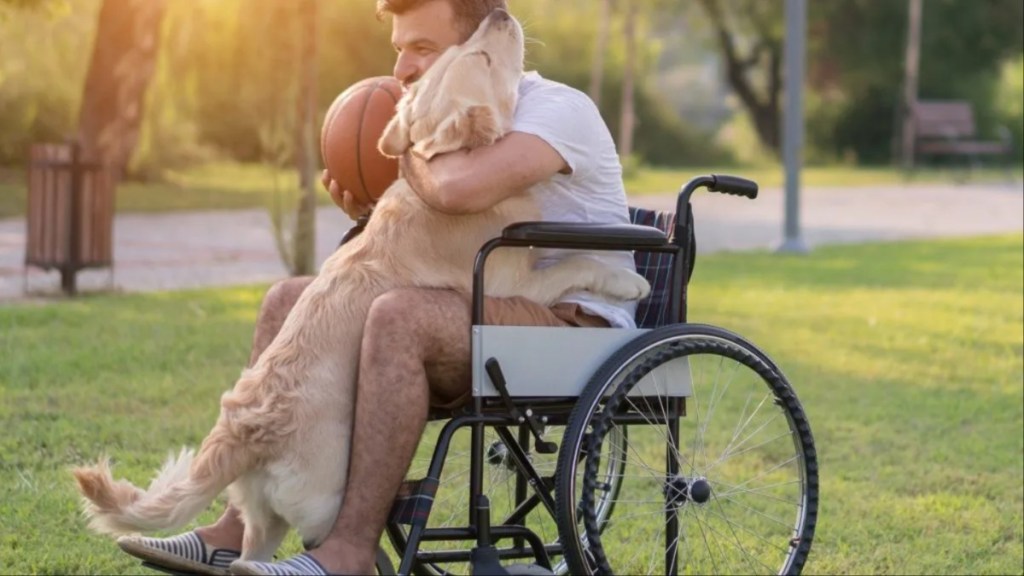 Happy Man in wheelchairs is playing with his service dog