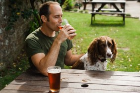 Man sitting in pub or bar garden with Spaniel dog drinking pint of beer.