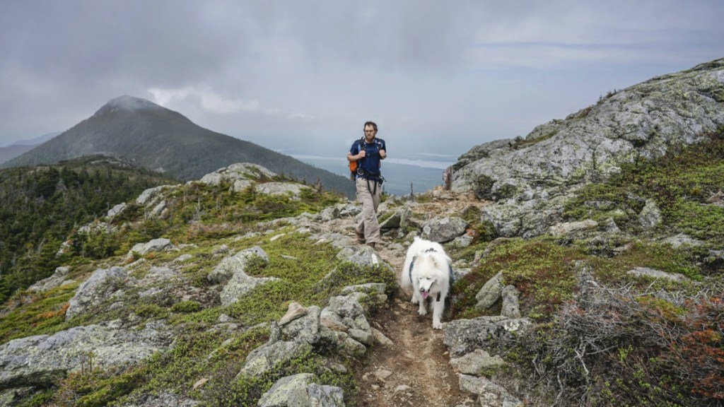 Man hikes with dog on Avery Peak above Flagstaff Lake along the Appalachian Trail in Maine's Bigelow Mountains