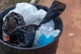 Trash can full of bags with dog excrement