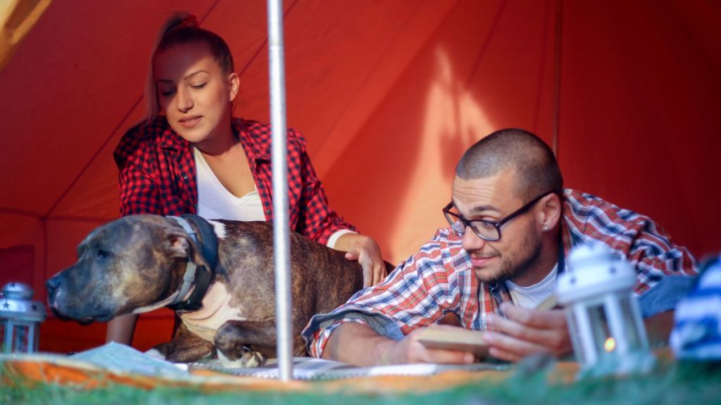 Couple in a tent with their dog