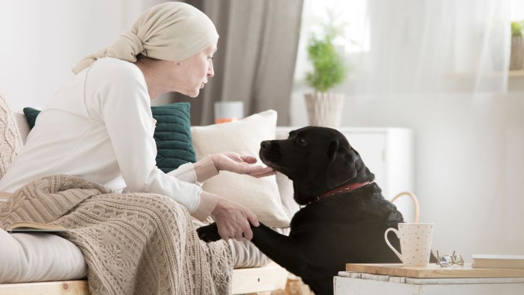 Cancer patient caressing her dog while on a pet therapy