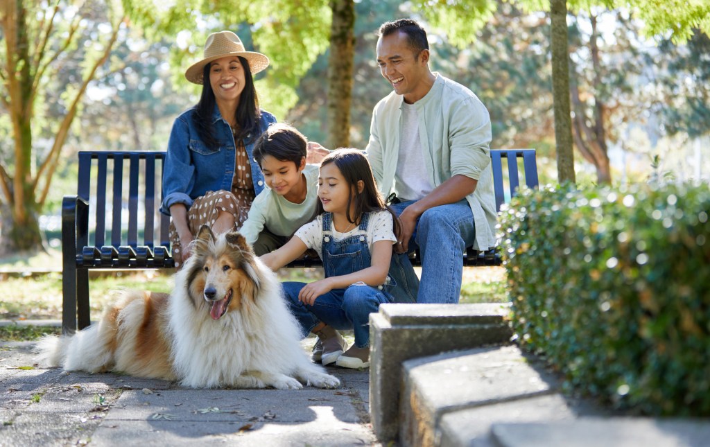Asian family with Collie or Lassie breed in the park.