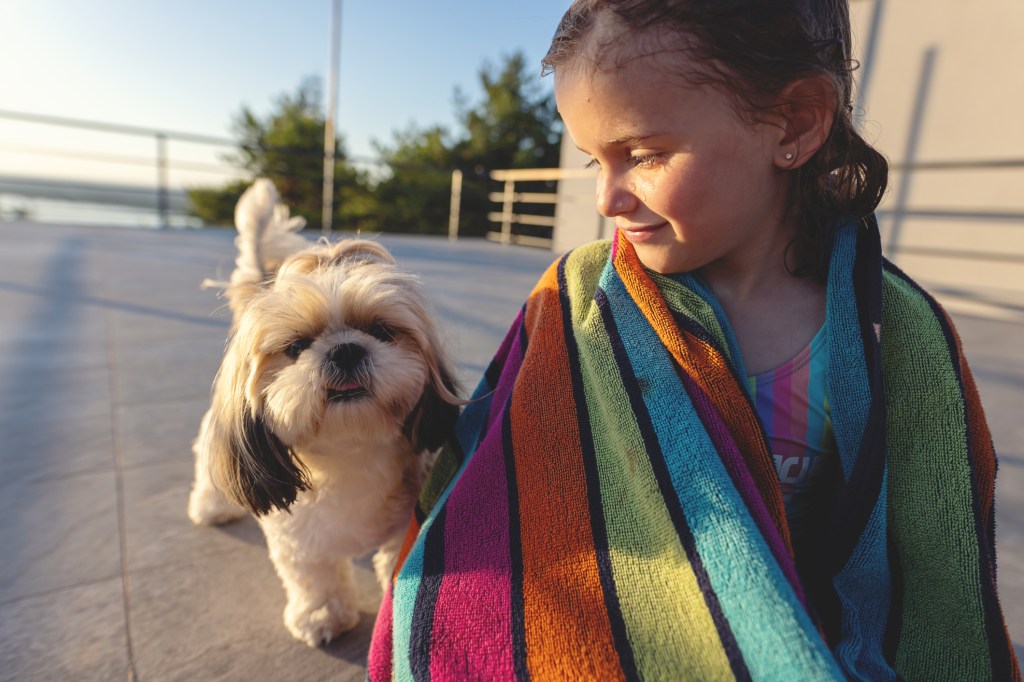 Little girl with Shih Tzu, a small pet.