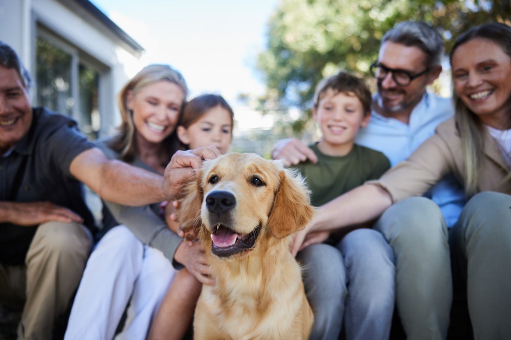 Golden Retriever being pet by a multi-generation family outside in a yard.
