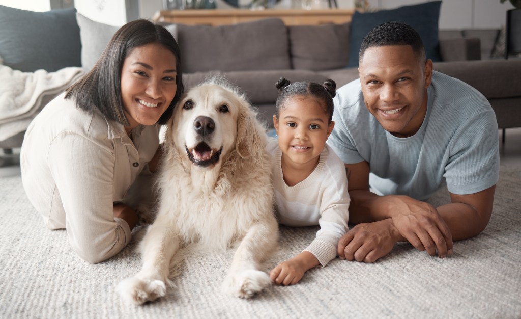 Loving Black couple with a toddler daughter being affectionate with a foster animal.