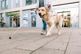 Service dog leads blind man outside a building.