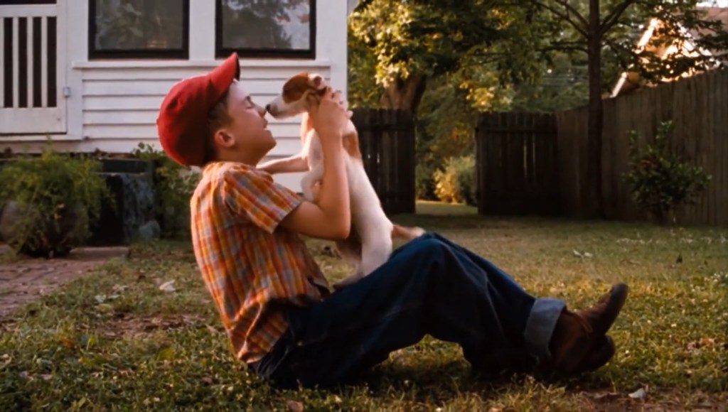 Will and Skip from “My Dog Skip” — a sad dog movie.