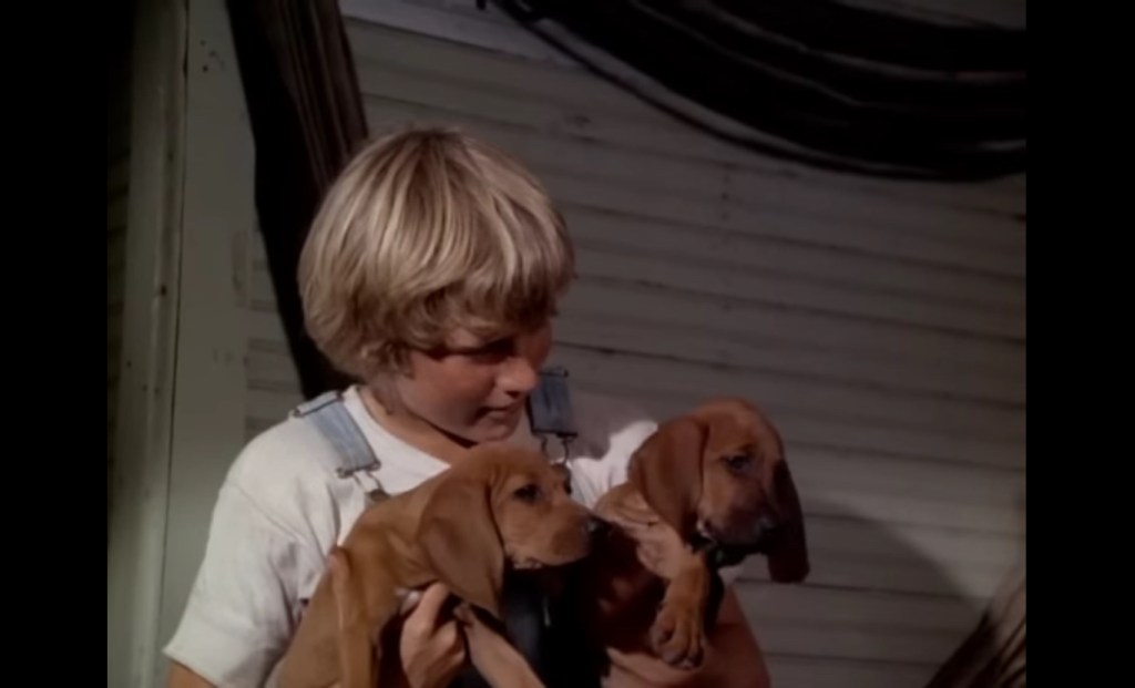 Boy holding two puppies in “Where the Red Fern Grows” — a sad dog movie.
