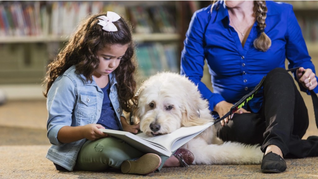 A little 6 year old Hispanic girl reading in the library to a therapy dog. The goldendoodle is listening patiently. The trainer, a mature woman in her 50s, is sitting on the floor holding the dog's leash.