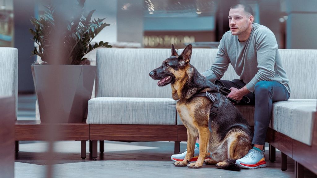 A man in casual clothing sits with his obedient German Shepard service dog, who can be really beneficial to veterans with PTSD, in the lobby of a hospital or corporate business building.