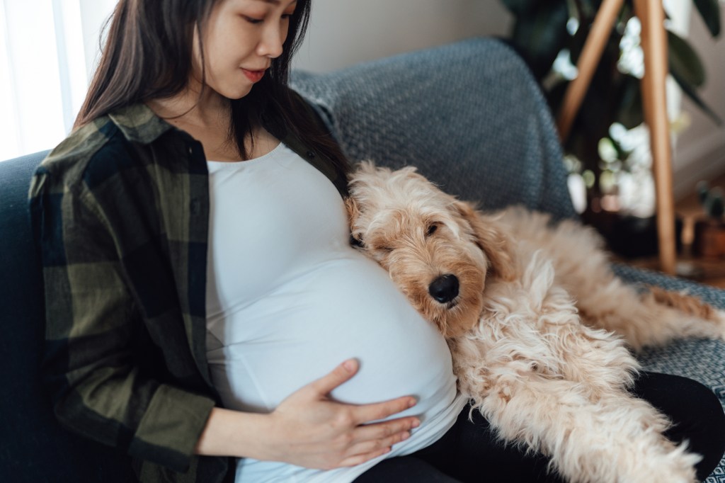Mulher grávida sentada no sofá com seu cachorro abraçado ao lado dela.